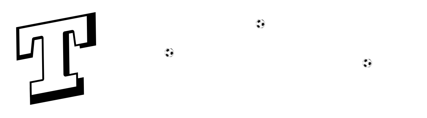 Teknikmat